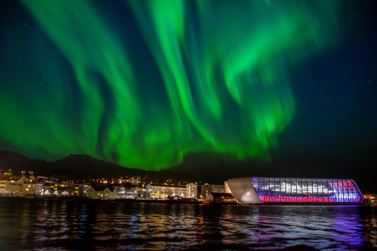 Vesteralen Kysthotell Stokmarknes Bagian luar foto